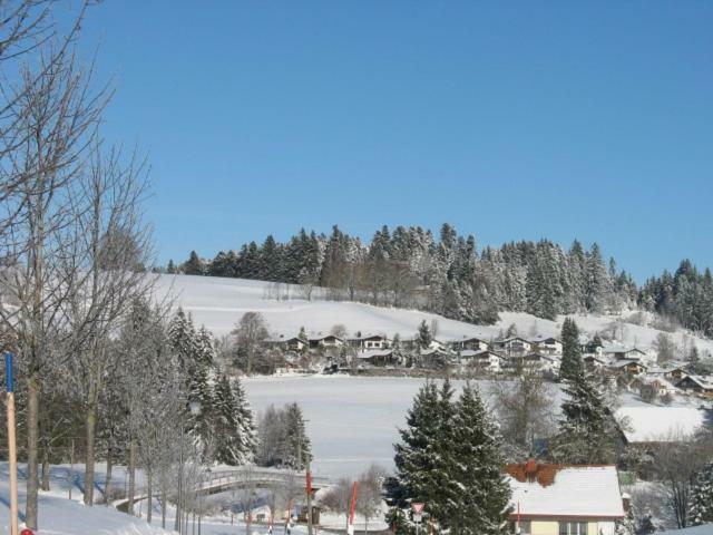 Haus Lenzhalde Lägenhet Oberreute Exteriör bild